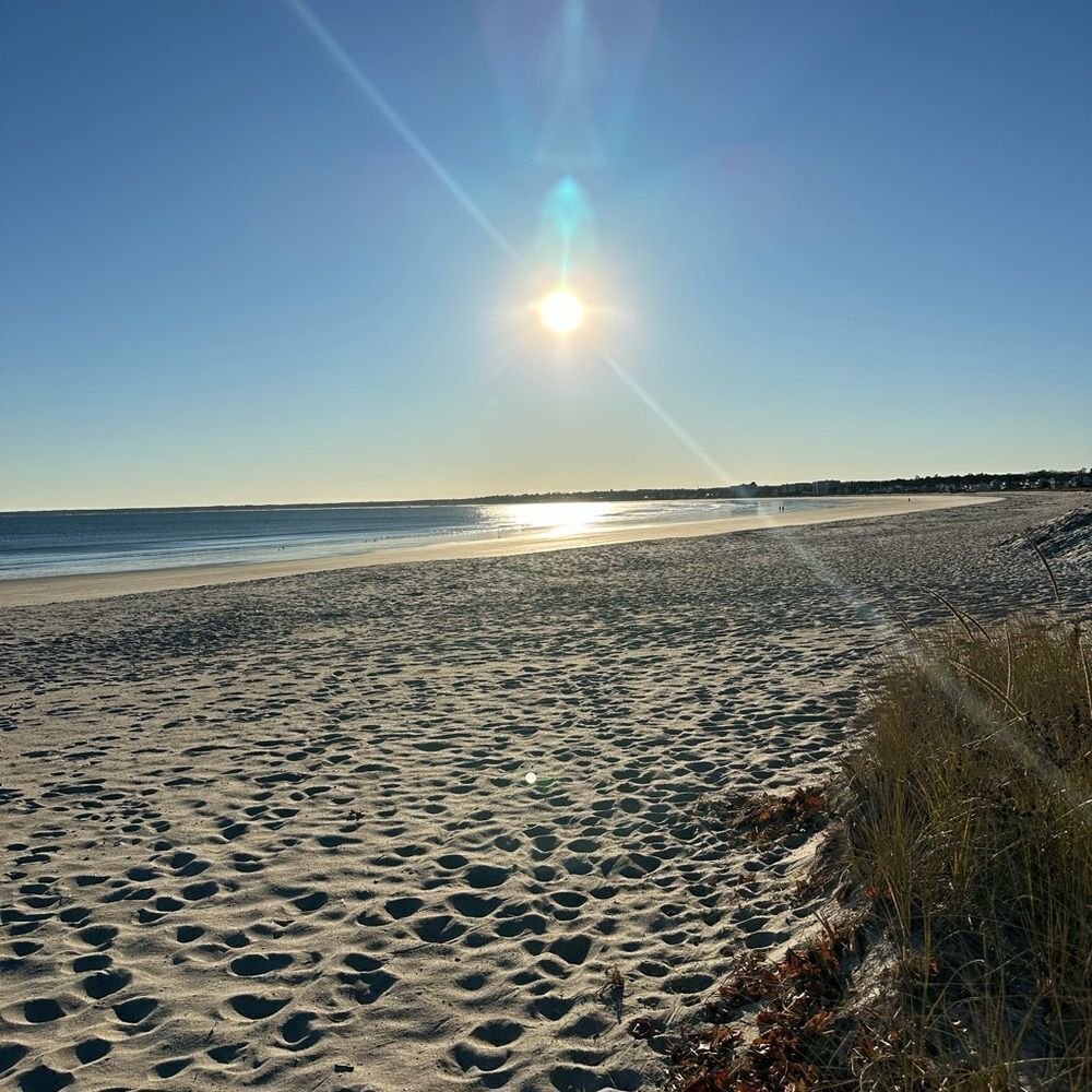 MAINE  - Picture 2 of 15